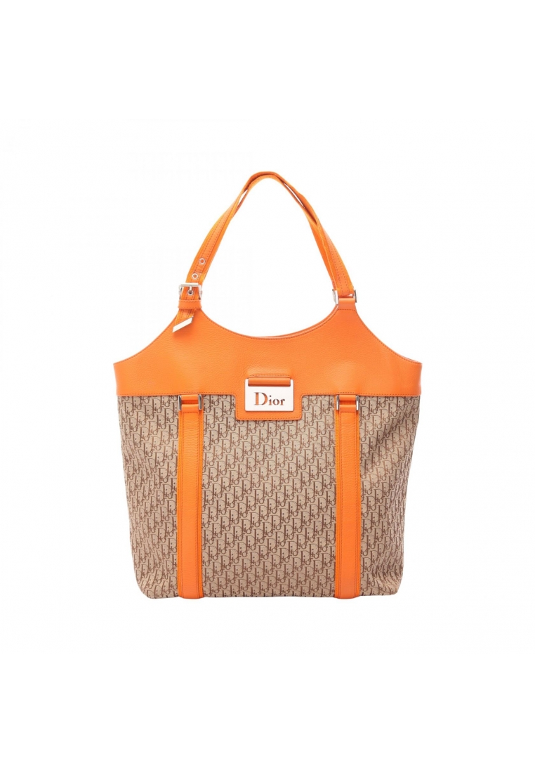 Christian Dior Pre-Loved Christian Dior Trotter street chic tote bag Handbag tote bag canvas leather