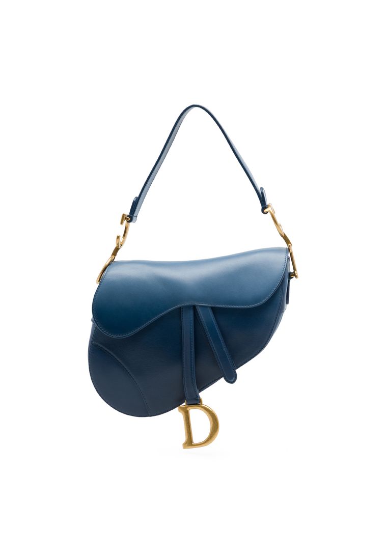 Dior Pre-Loved Dior Gradient Calfskin Saddle Bag