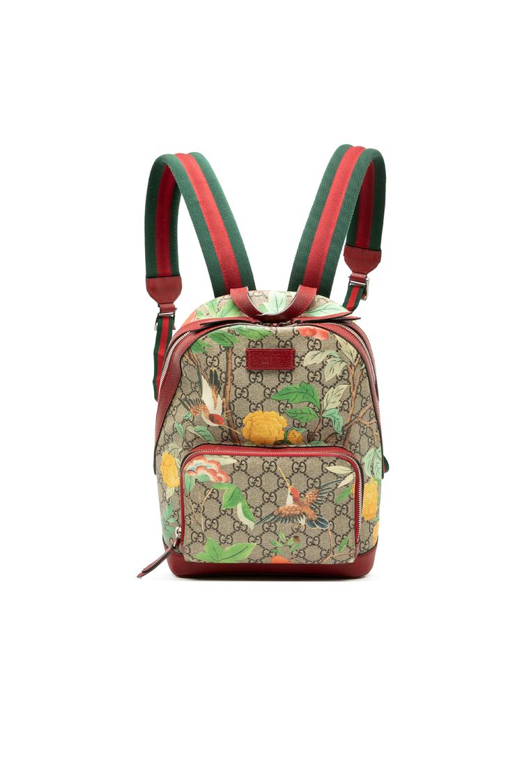 Gucci Pre-Loved Gucci Small Gg Supreme Web Tian Backpack