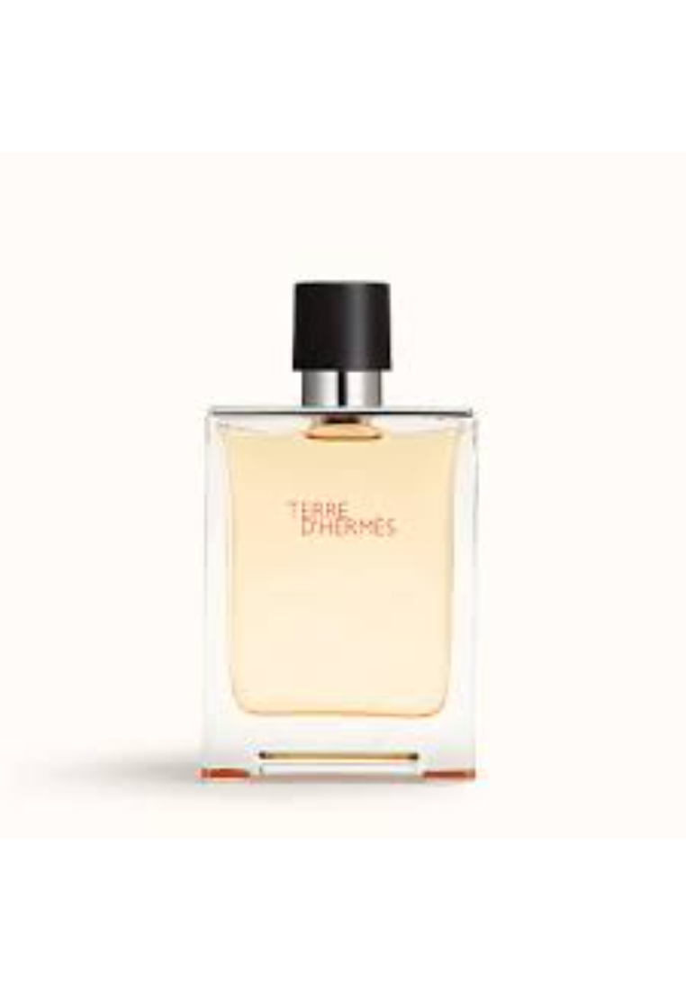 Hermès Hermes Terre D’Hermes EDT 100mL (Without Box)