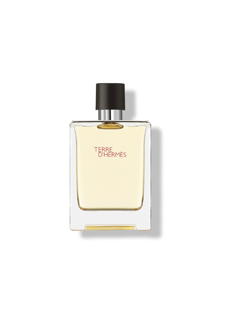 Hermès Hermes Terre d'Hermès Eau De Toilette Natural Spray for Men 100ml