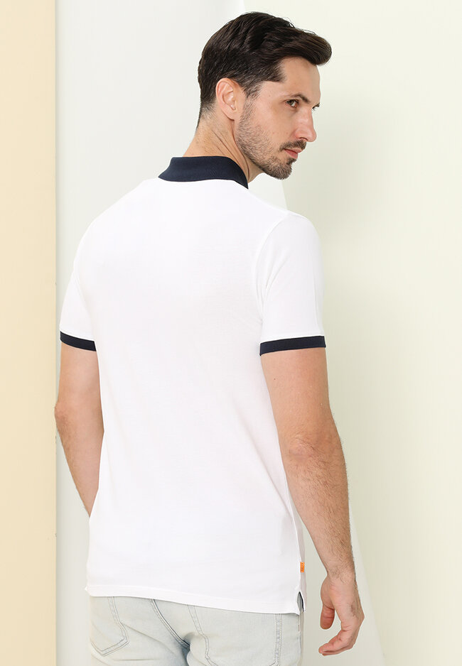 polo t shirts online